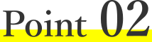 icon-point2