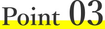icon-point3