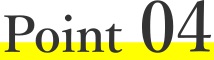 icon-point4